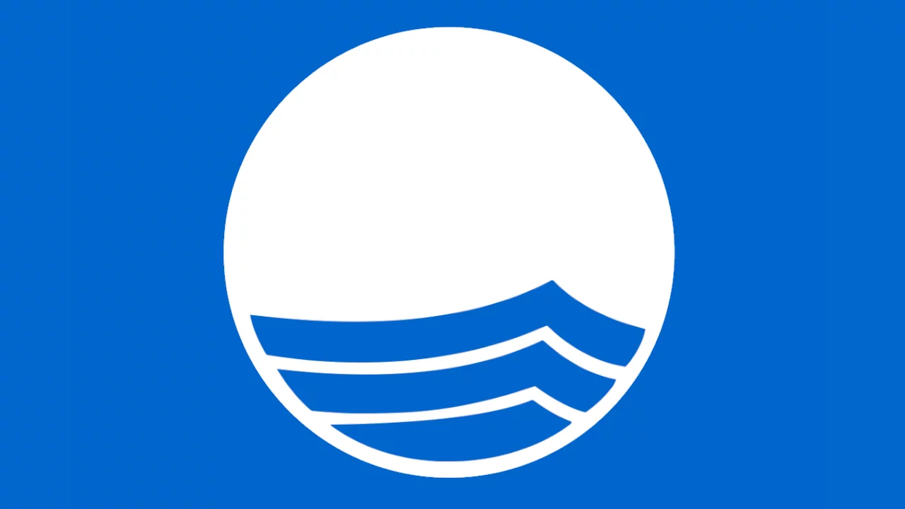Blue Flag Logo.svg
