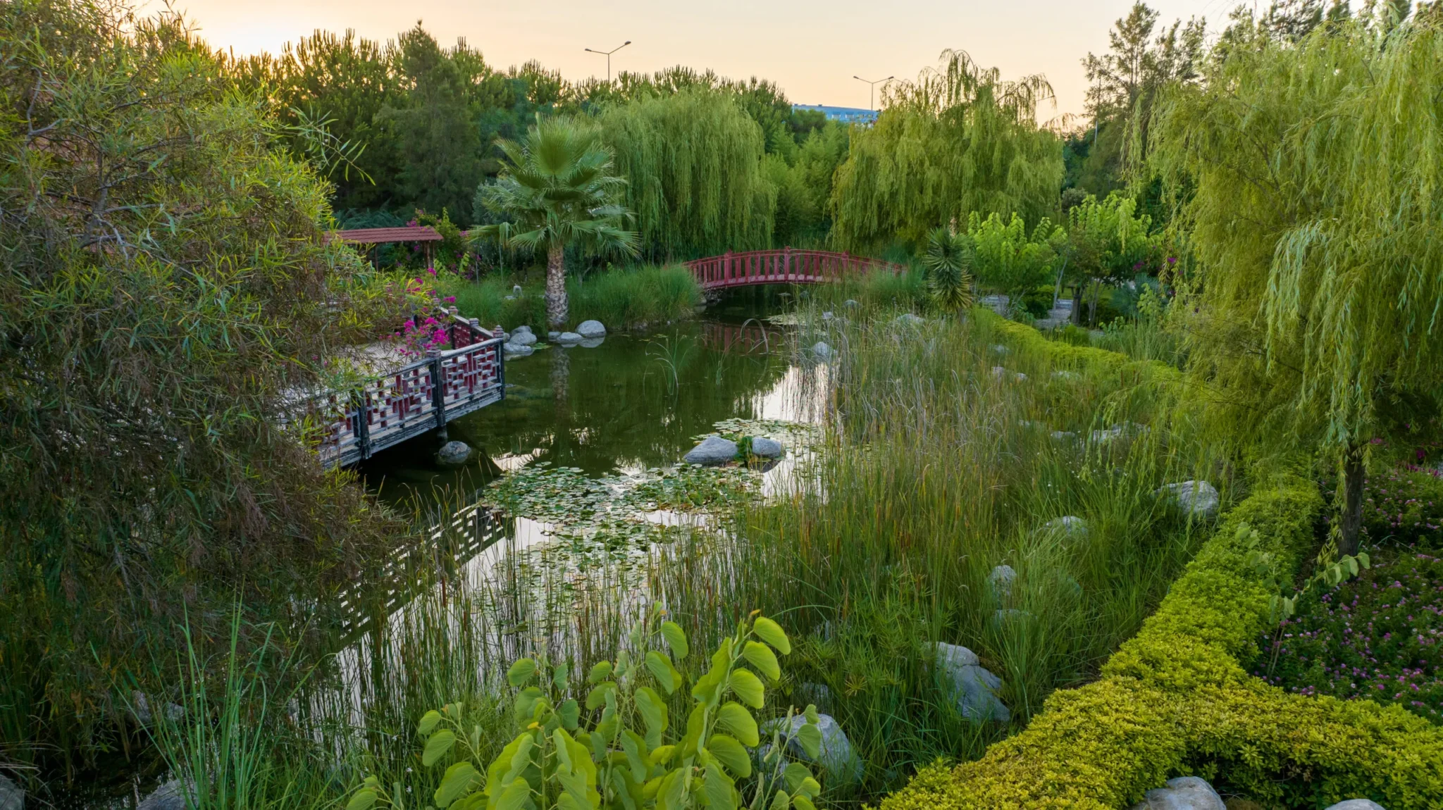 zen-garden-4